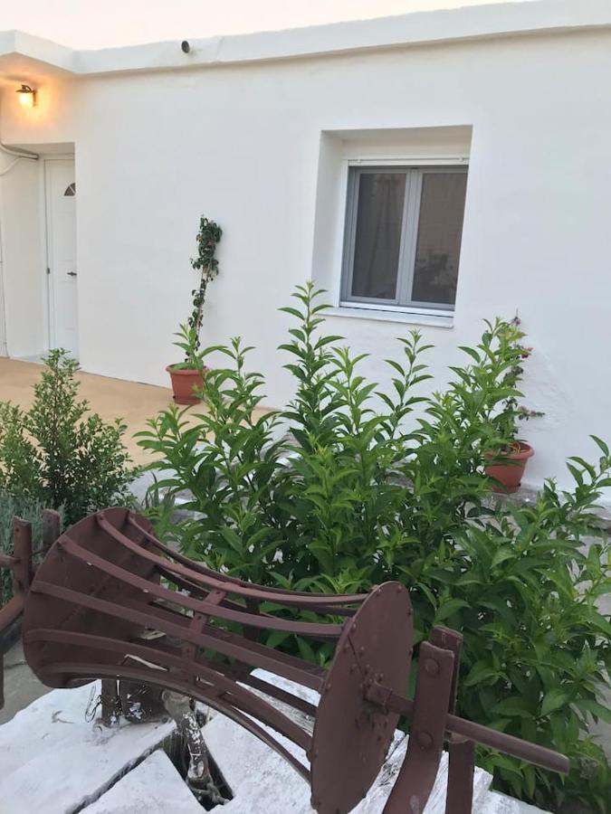 فيلا T&T House Lechaio المظهر الخارجي الصورة