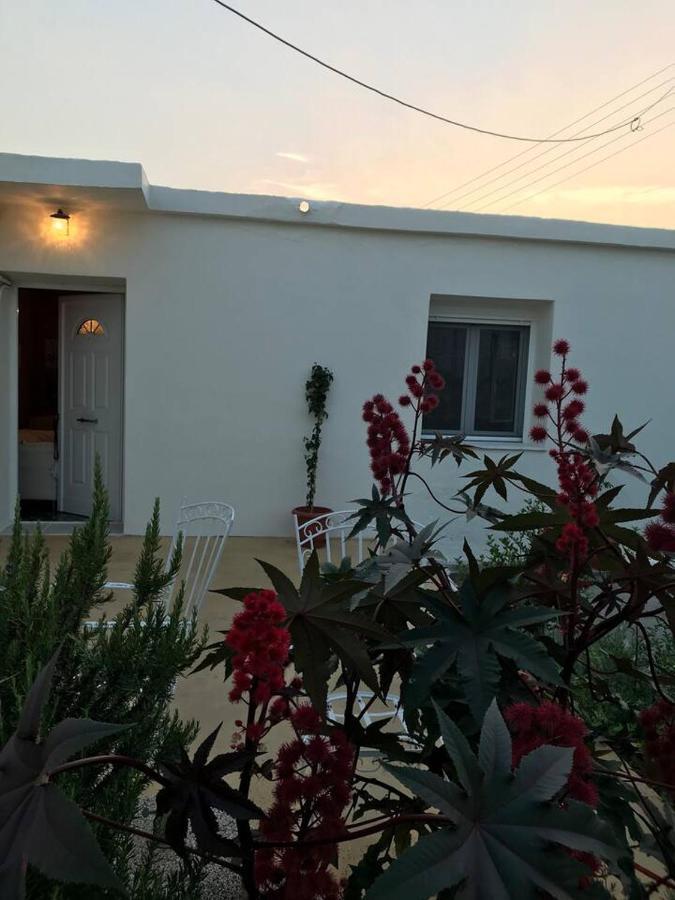 فيلا T&T House Lechaio المظهر الخارجي الصورة